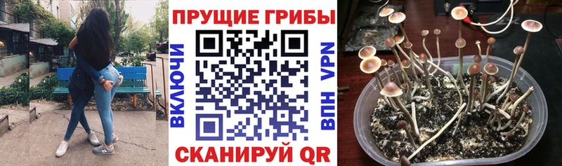 Галлюциногенные грибы GOLDEN TEACHER  Северо-Курильск 